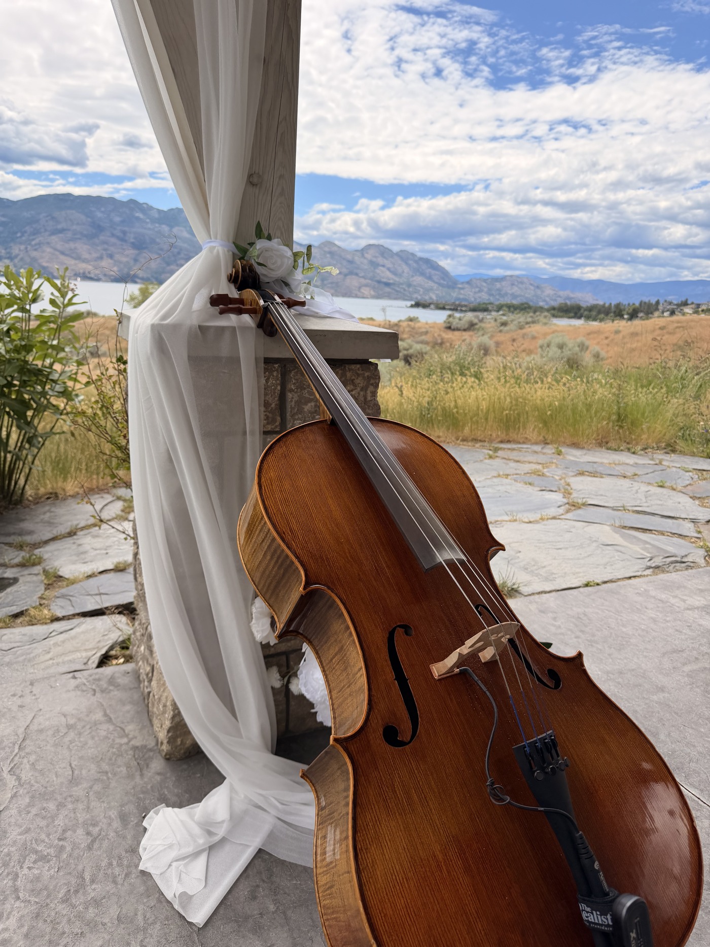 Yaroslav's cello leaning against a draped arch, a lake and hills in the distance